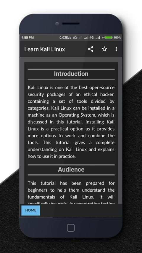 Kali Linux screenshot 3