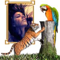 Wildlife Photo Frames on 9Apps