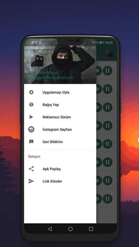 Alan Walker Songs 2019 - Without Internet screenshot 1