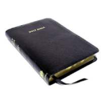 Mizo Bible with audio NIV