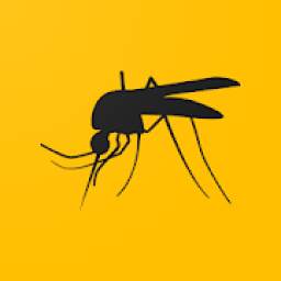 Fanaticka 1.0.0
