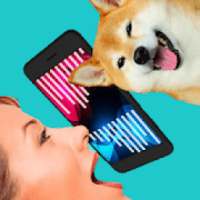 Dog Simulator Translator