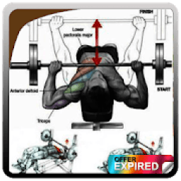 ikon **Bodybuilding Muscle Training Tutorial**