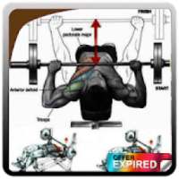 **Bodybuilding Muscle Training Tutorial** on 9Apps