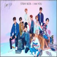 I am YOU - Stray kids