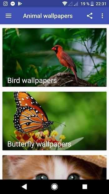 +600 Android Animal Wallpapers screenshot 5
