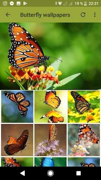 +600 Android Animal Wallpapers screenshot 3