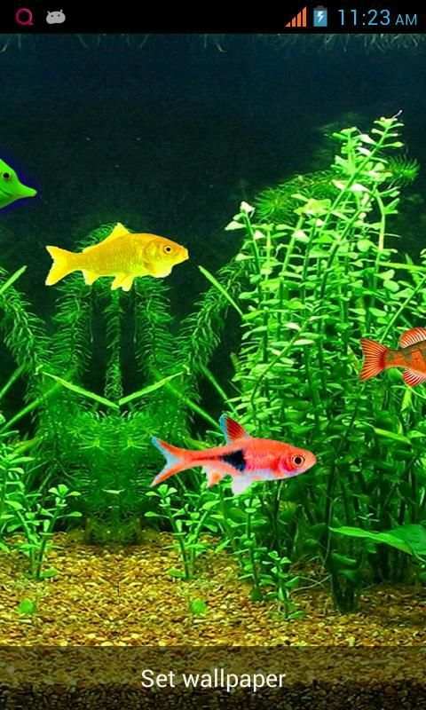 Aquarium Live Wallpaper! screenshot 5