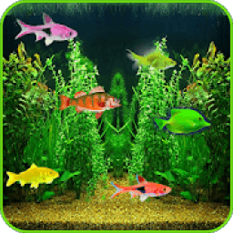 Aquarium Live Wallpaper! आइकन