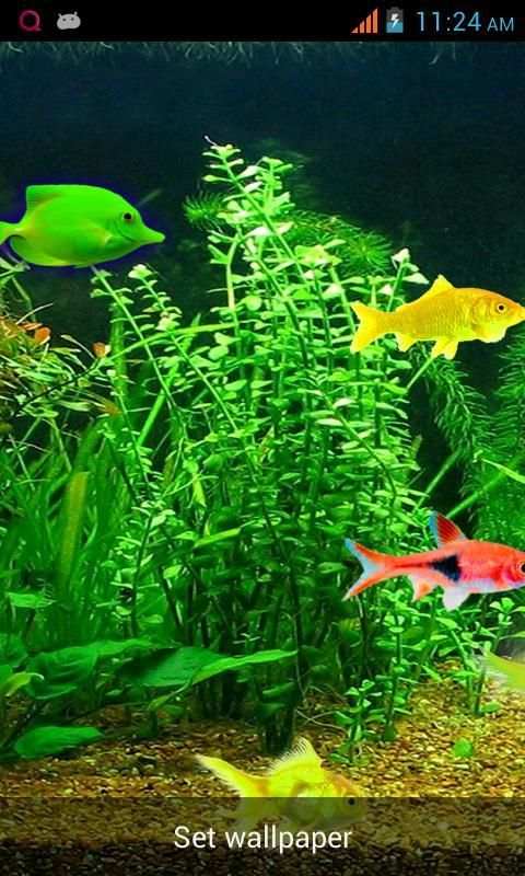Aquarium Live Wallpaper! screenshot 1