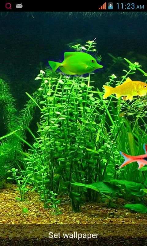 Aquarium Live Wallpaper! screenshot 4