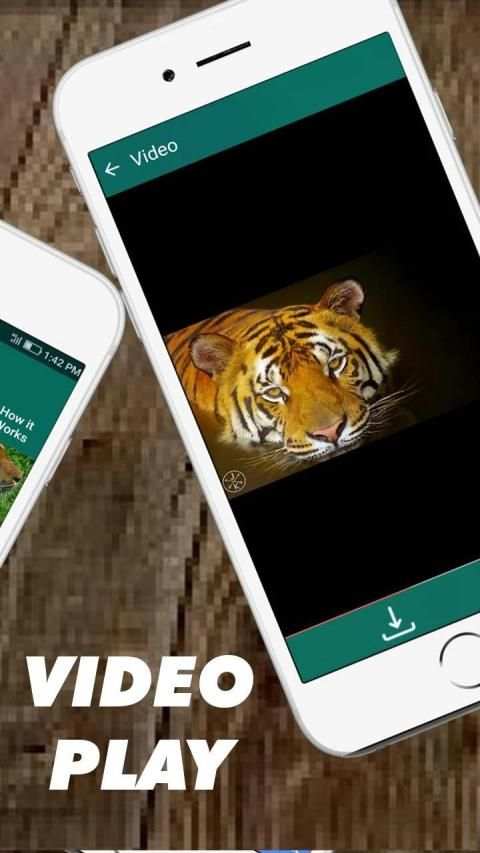 Status Sevar Downlod screenshot 4
