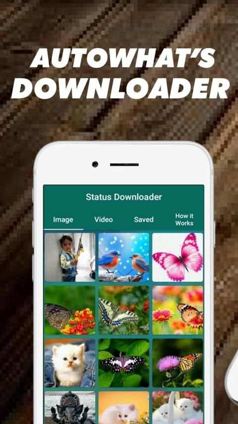 Status Sevar Downlod screenshot 6