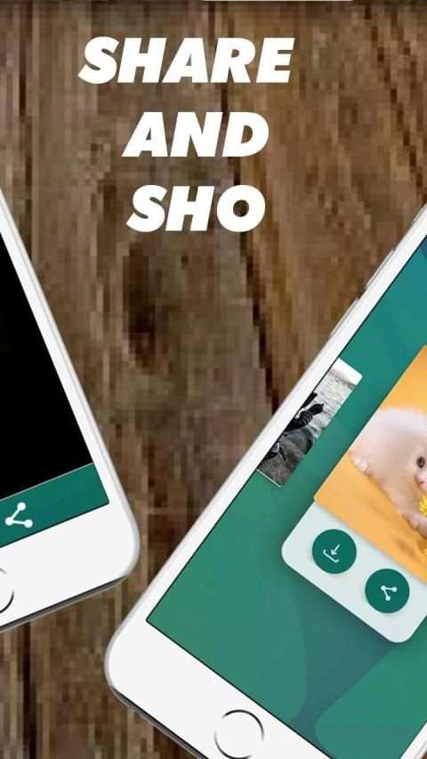 Status Sevar Downlod screenshot 3