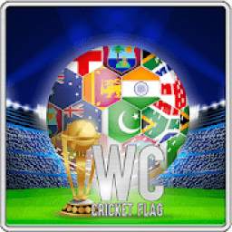 WC cricket flags match