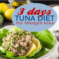 3 Days Tuna Diet Plan Meal