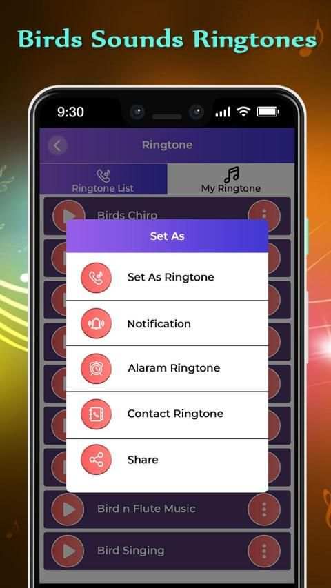 Birds Sounds Ringtones screenshot 4