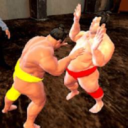 wrestling games sumo fighting 3d free game