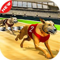 Dog real Racing Derby Tournament simulator