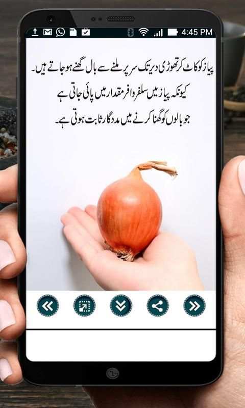 Hakeemi Nuskhe Book in Urdu скриншот 1