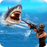 Shark Shooting 3D