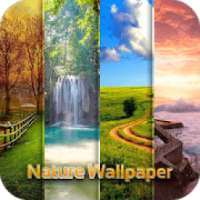 Natural wallpaper : Live wallpaper