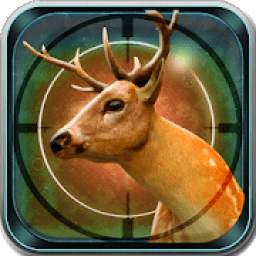 Deer Hunting 2018