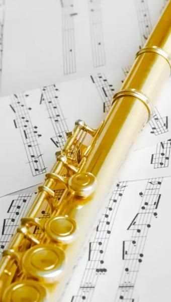 Mobile Phone Ringtones-Ringtones For Phone(Flute) स्क्रीनशॉट 1