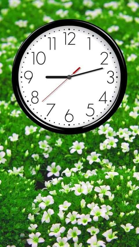 Analog Clock Free Live Wallpaper स्क्रीनशॉट 2