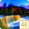 Waterfall Live Wallpaper 4K