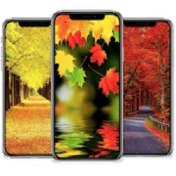 Autumn Wallpaper आइकन