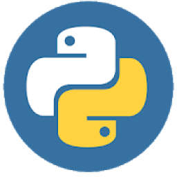 ikon Python. How to start programming