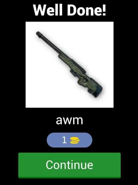 Guess PUBG Items screenshot 25