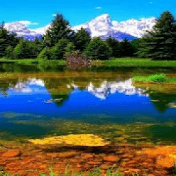 Nature Wallpaper 2019 आइकन