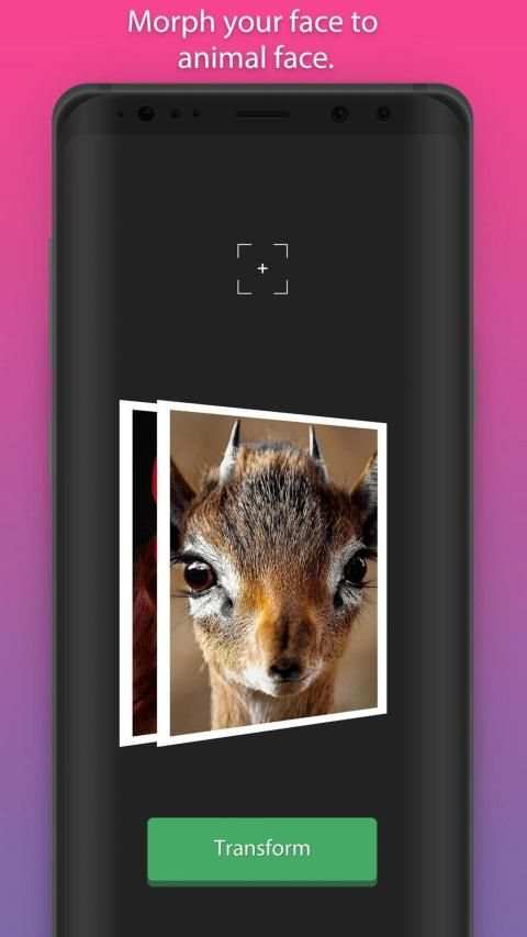 Face Transformer screenshot 3