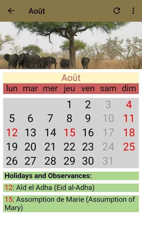Cameroon Calendar 2019 screenshot 2