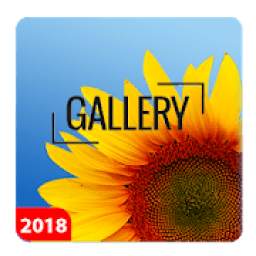 Gallery 2019