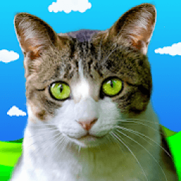 Animals Talking icon