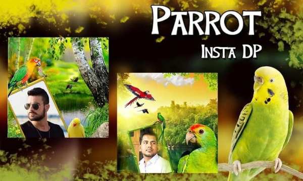 Parrot Insta DP Maker – Love Birds स्क्रीनशॉट 1