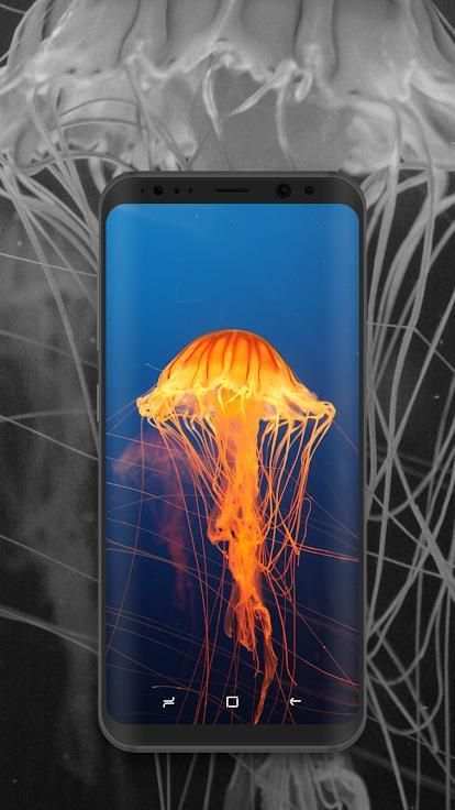 Free Android HD Wallpaper स्क्रीनशॉट 7