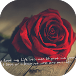 Love Video Status आइकन