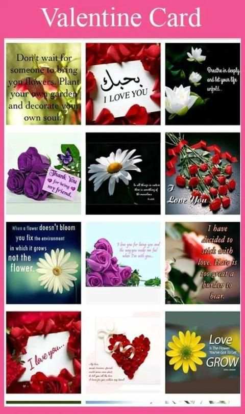 Propose Day Stickers screenshot 4