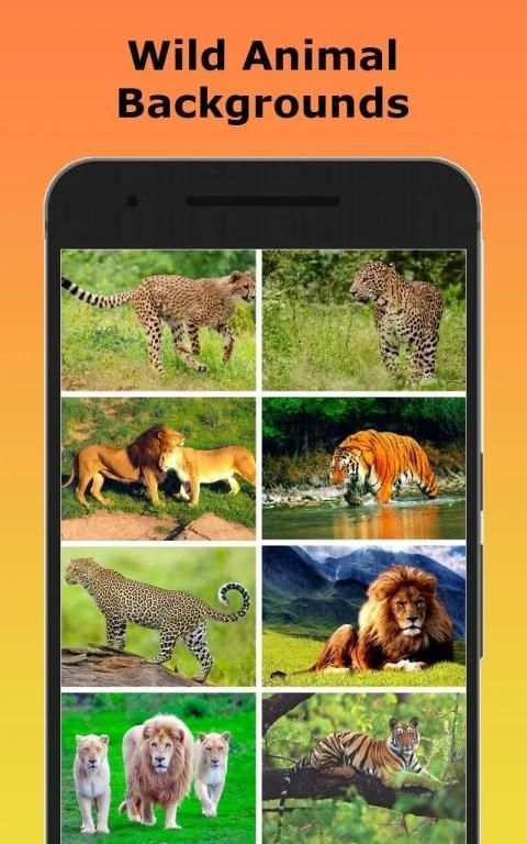 Wild Animal Photo Editor - Animal Photo Frames screenshot 27