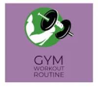 Gym Workout Routine