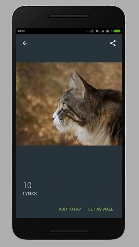 Cat Wallpaper HD स्क्रीनशॉट 6