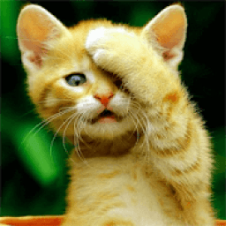 Cat Wallpaper HD आइकन