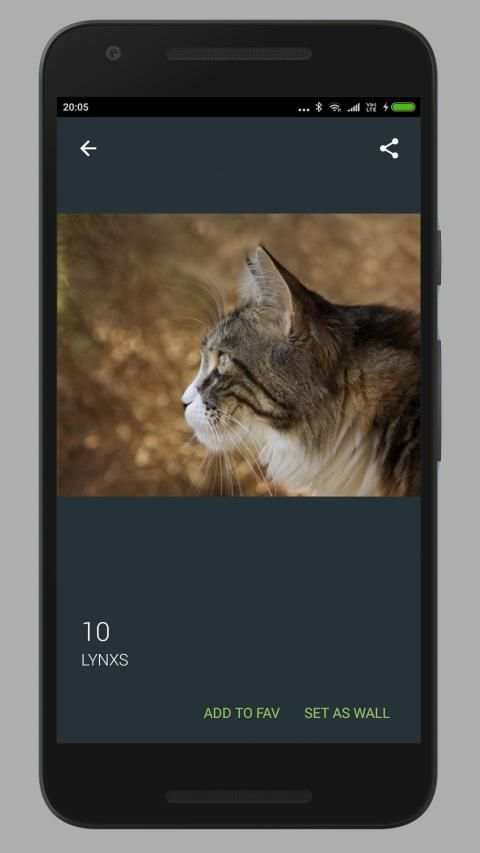 Cat Wallpaper HD स्क्रीनशॉट 12
