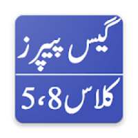 Guess 5th & 8th PEC Model Paper