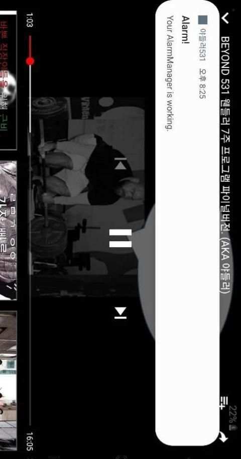 야들러531/863 - Demo screenshot 3