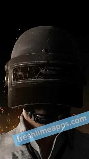 PUBG HD Wallpapers screenshot 5